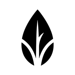 Musab Ayurvedic Clinic